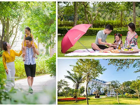 Những trải nghiệm Tết khác biệt hút khách đầu năm