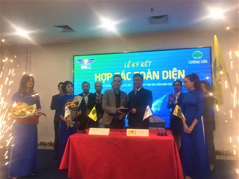 Hợp tác toàn diện giữa Safer Life và Cathay Life
