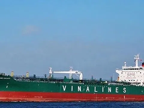 Báo cáo giám sát DNNN: 12 trường hợp lỗ 720 tỷ đồng, 16 trường hợp cảnh báo về an toàn tài chính