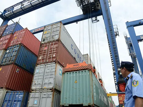 Lợi dụng xuất xứ Việt Nam để trốn thuế, cần chế tài hình sự để xử lý?