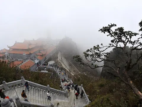 Xuân về, lên Fansipan thưởng hoa, lễ Phật