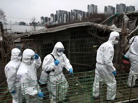 Hàn Quốc muốn dành hơn 11 nghìn tỷ won hỗ trợ doanh nghiệp khi dịch cúm corona căng thẳng