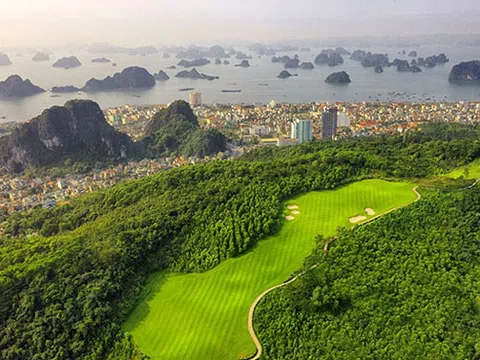 Các dự án bất động sản này có địa điểm tại Quảng Ngãi và Hà Nội, với tổng mức đầu tư hơn 5.600 tỷ đồng.