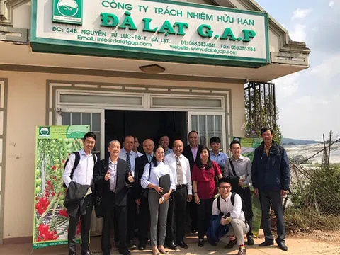 Xuất khẩu sang Singapore: Linh hoạt trước chính sách mới