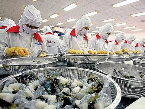 EU đóng cửa biên giới: Lưu thông hàng hóa Việt Nam – EU vẫn tiếp tục duy trì