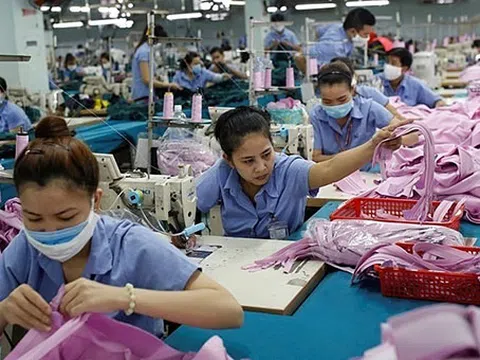 EU hoàn tất phê chuẩn EVFTA