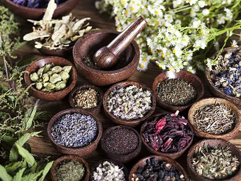 GFS tiên phong với mô hình chăm sóc sức khỏe chủ động cho mọi lứa tuổi