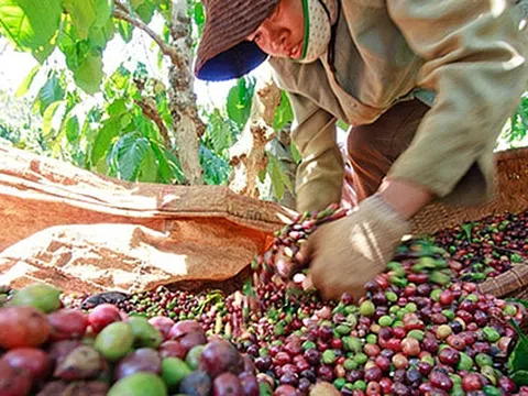 Tạo thuận lợi cho doanh nghiệp xuất khẩu sang các nước thành viên CPTPP