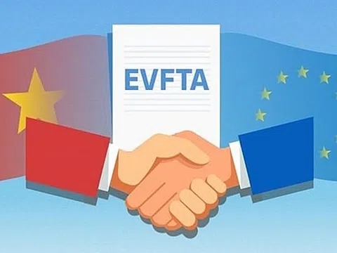 Giai đoạn nước rút cho việc phê chuẩn EVFTA