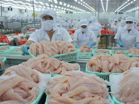 Hoa Kỳ giảm thuế cho doanh nghiệp xuất khẩu cá tra của Việt Nam