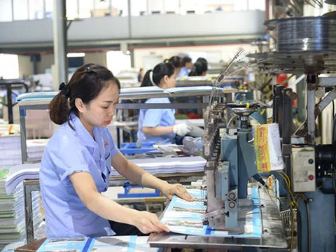 Sửa nghị định 20: Hồi tố thuế có thật sự 'nguy hiểm' theo như Bộ Tài chính?