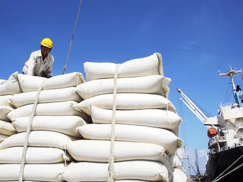 Có hay không nhóm lợi ích trục lợi chính sách xuất khẩu gạo?