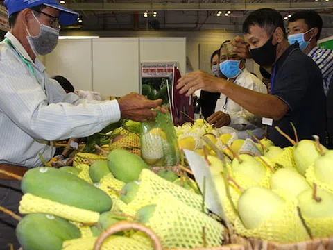 Có nên giảm thuế VAT trong lúc này?