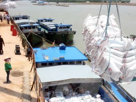 Xử lý nghiêm các trường hợp đầu cơ găm hàng, thao túng giá đối với mặt hàng gạo