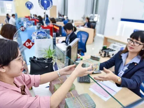 Sửa Nghị định 20: Không cho hồi tố thuế là không công bằng?