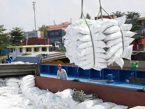 Bộ Tài chính đề nghị điều tra 2 vấn đề liên quan đến xuất khẩu gạo: Cơ quan công an sẽ điều tra theo qui trình, qui định nào ?