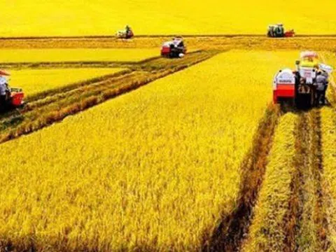 Đề xuất miễn hơn 37.000 tỷ đồng thuế sử dụng đất nông nghiệp để hỗ trợ trực tiếp cho nông dân