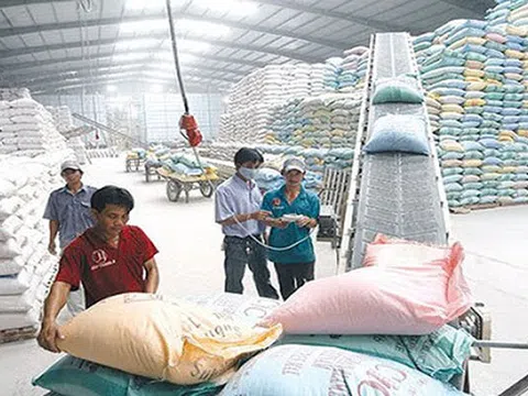 Sai phạm trong việc sử dụng kho dự trữ quốc gia, 7 Cục trưởng Cục dự trữ nhà nước khu vực sẽ bị điều tra