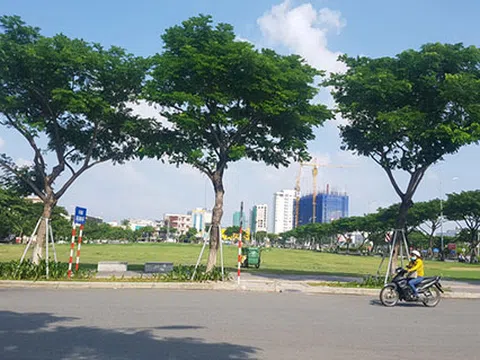 Kiến nghị giải pháp chặn thao túng đấu giá đất tại một số địa phương và vấn nạn “đầu cơ đất kiểu mới”