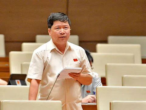 Bộ trưởng Bộ KH&ĐT: Doanh nghiệp tư nhân có quyền thuê kiểm toán độc lập khi tham gia dự án PPP