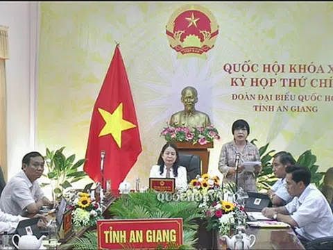 Hộ kinh doanh có nên đưa vào Luật Doanh nghiệp hay ban hành luật riêng?