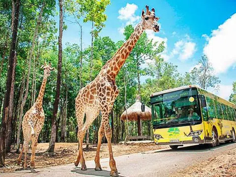 Tập đoàn Vingroup đề xuất kế hoạch làm khu sinh thái Vinpearl Safari ở Quảng Ninh