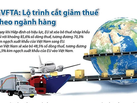 EU xóa bỏ khoảng 85,6% số dòng thuế nhập khẩu đối với hàng hoá Việt Nam ngay khi EVFTA có hiệu lực