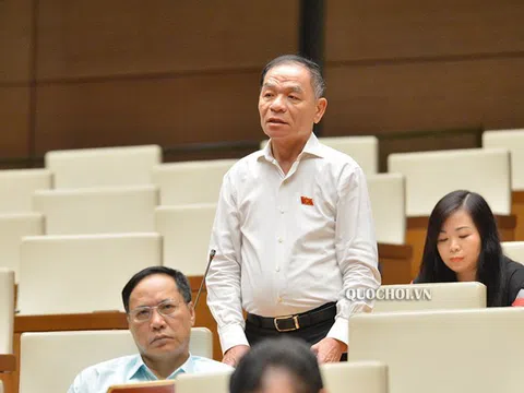 Đại biểu Quốc hội đề xuất xây dựng luật an ninh kinh tế