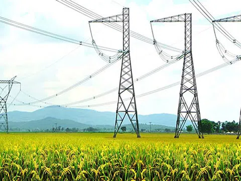 Mở rộng lĩnh vực đầu tư theo phương thức đối tác công tư: Kinh nghiệm và bài học từ những vụ việc thực tế