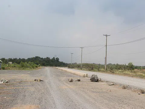 Công ty của gia đình bà Phan Thị Mỹ Thanh bị kiện đòi bồi thường hơn 800 tỷ đồng