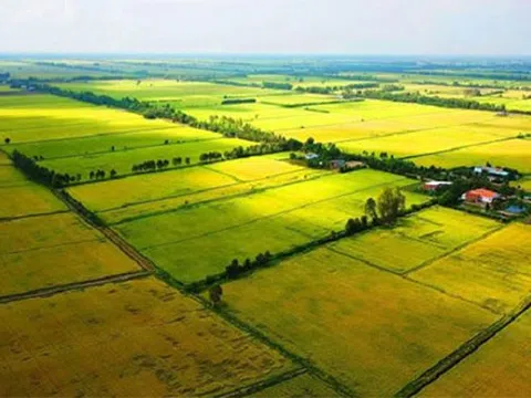 Quy định mới nhất về bồi thường thu hồi đất