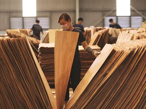 Từ thực tế các vụ DOC điều tra chống lẩn tránh thuế: Kinh nghiệm pháp lý và kinh doanh cho Doanh nghiệp Việt