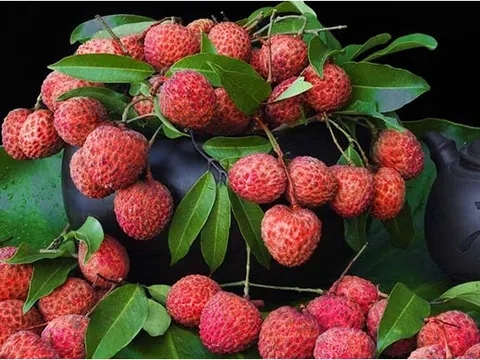 Cơ hội khẳng định thương hiệu cho 39 mặt hàng của Việt Nam được EU bảo hộ chỉ dẫn địa lý