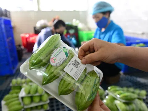 Xuất xứ hàng hóa - nhiệm vụ lớn nhất trong xuất nhập khẩu vào EU