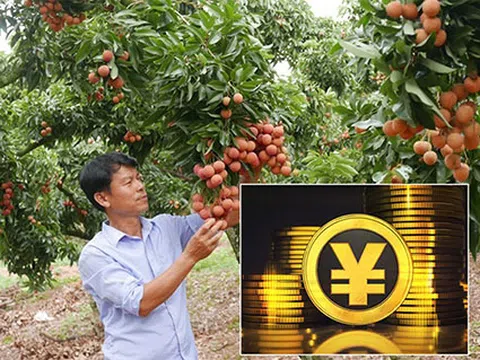 Tiền số Trung Quốc sẽ tác động đến doanh nghiệp Việt