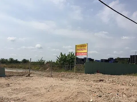 Thanh tra TP.HCM chuyển cơ quan điều tra sai phạm tại 2 công ty