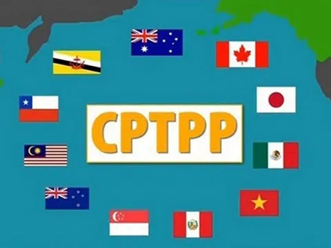 Chính phủ ban hành Nghị định hướng dẫn về đấu thầu mua sắm theo CPTPP