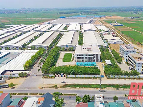 Nữ đại gia khoáng sản đứng sau dự án cụm công nghiệp nửa nghìn tỷ ở Thanh Hoá là ai?