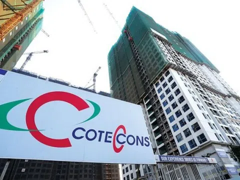 Coteccons 4 năm liên tiếp bị xử phạt và truy thu thuế