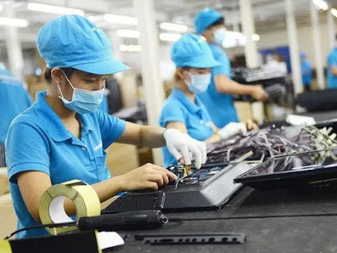 Hiệp định EVFTA: Nhiều điểm nghẽn cần tháo gỡ