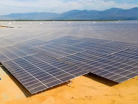 Nhiều sai phạm trong cấp phép dự án điện mặt trời ở Ninh Thuận