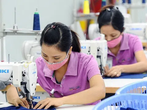 EVFTA có hiệu lực: Cú huých quan trọng cho xuất khẩu