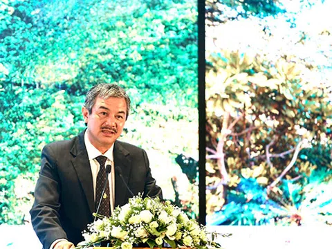 Chủ tịch Bamboo Airways: Mong muốn góp sức để du lịch Côn Đảo phát triển hết tiềm năng