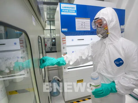 Xếp hạng Top 500 doanh nghiệp lợi nhuận tốt nhất Việt Nam