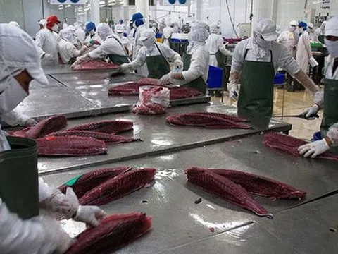 3 điều kiện được hưởng thuế xuất nhập khẩu ưu đãi theo EVFTA