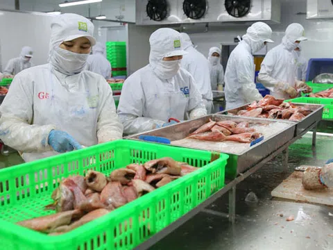 Cú hích từ EVFTA sau 1 tháng