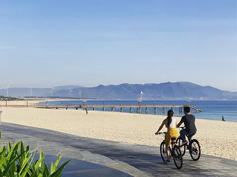 Quy Nhơn mùa thu: những trải nghiệm không thể bỏ lỡ