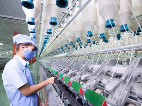 EVFTA mang lại môi trường cạnh tranh lành mạnh cho doanh nghiệp Việt Nam và EU