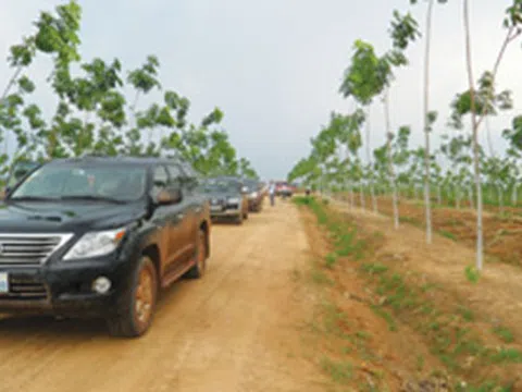 Quản chặt dự án đầu tư ra nước ngoài có sử dụng vốn nhà nước