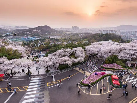 Vietjet thông báo kế hoạch mở lại đường bay quốc tế với các chuyến bay an toàn